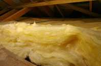 Bickham pitch roof insulation